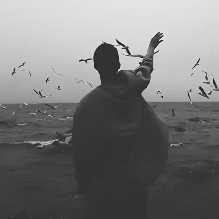凌晨的夜.