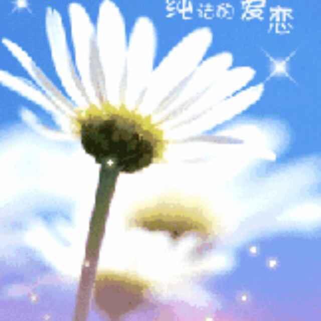 有一种爱叫做放手