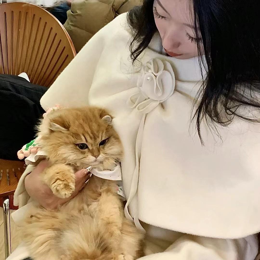 赣州宠物 Hi PET