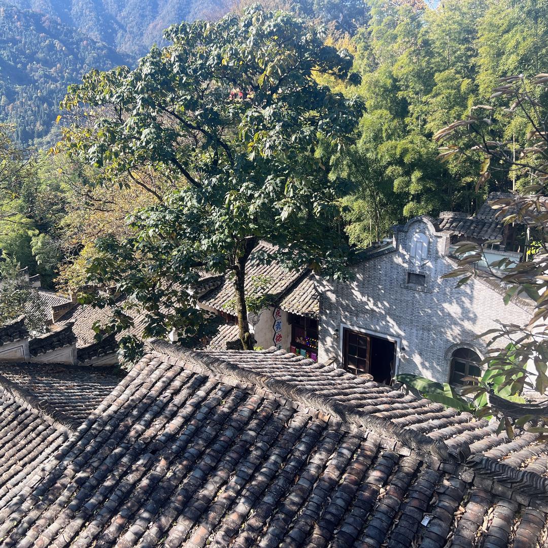 芝麻开门