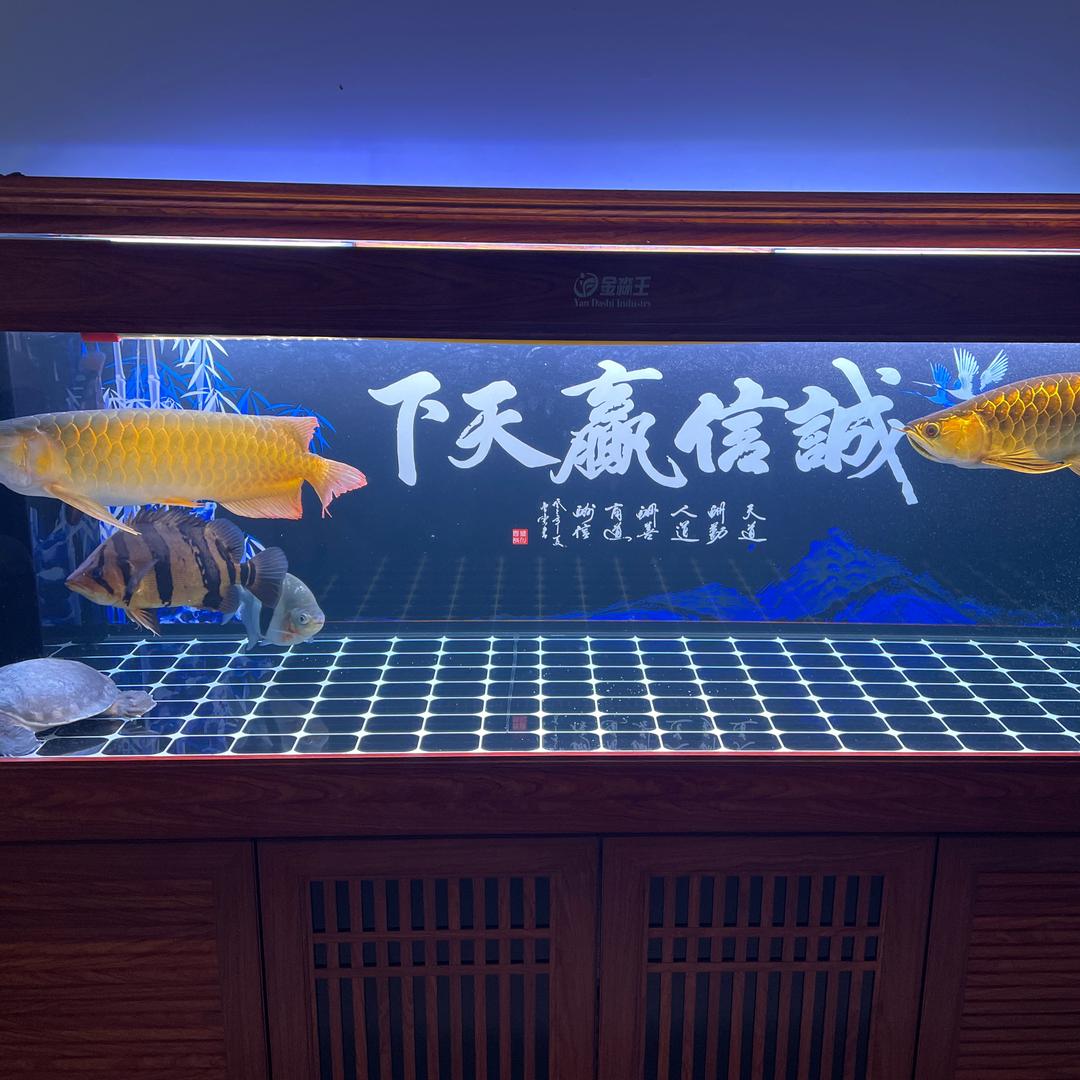 张亚兵