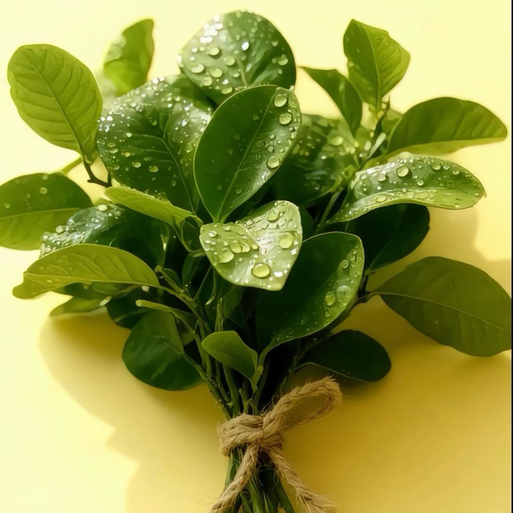 重汽豪沃随车吊