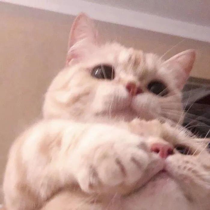 🥇