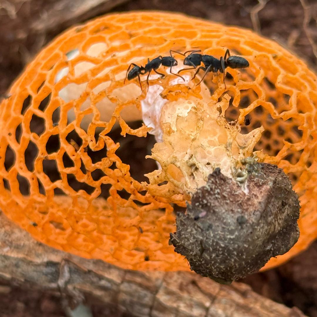 能见一面就见一面