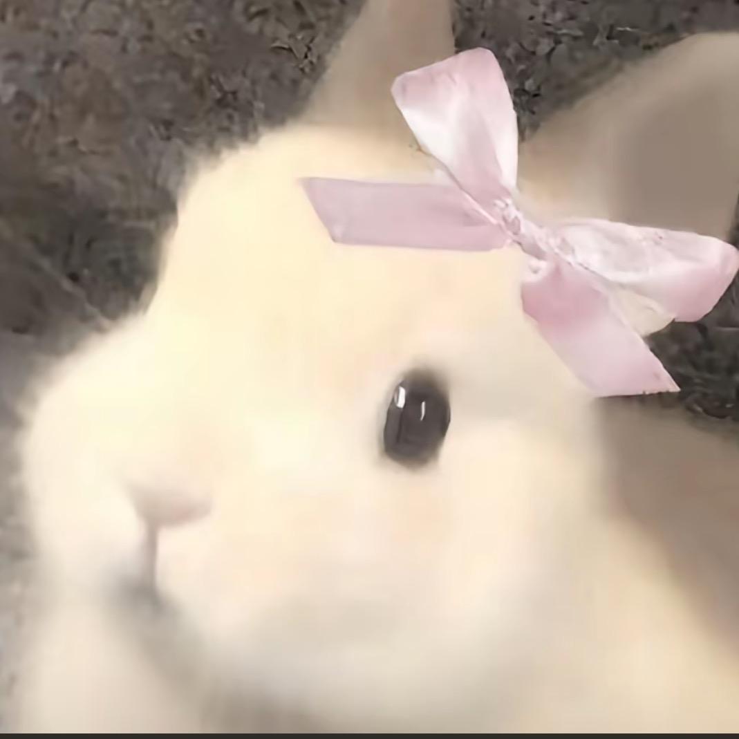 小婉肉