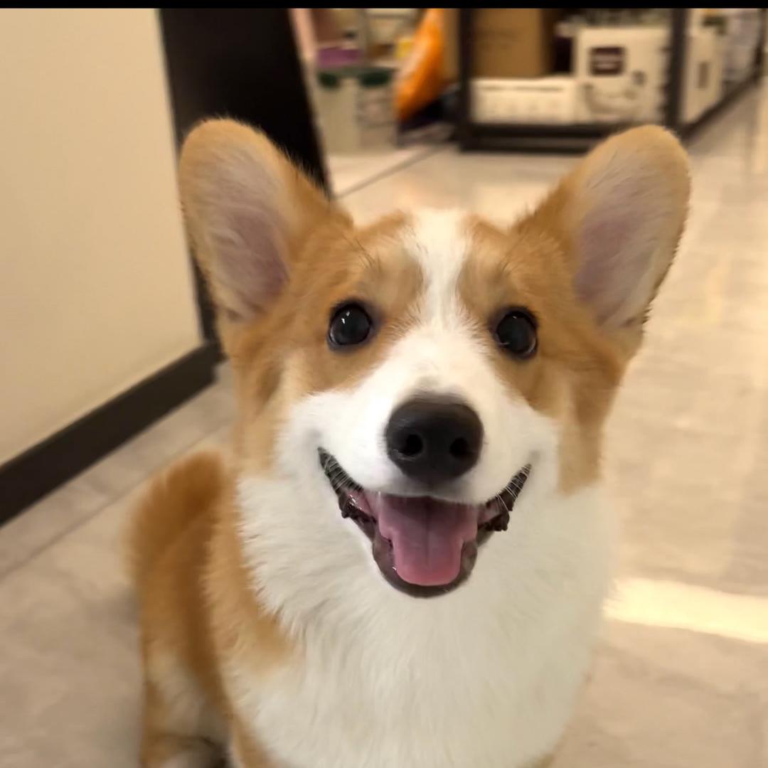 rubby小卖部