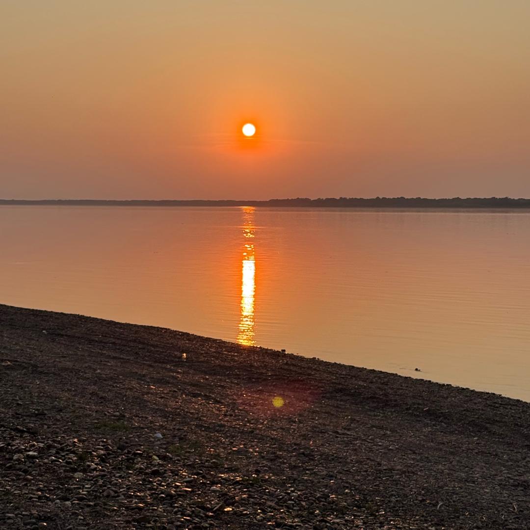 他说为了中非友谊