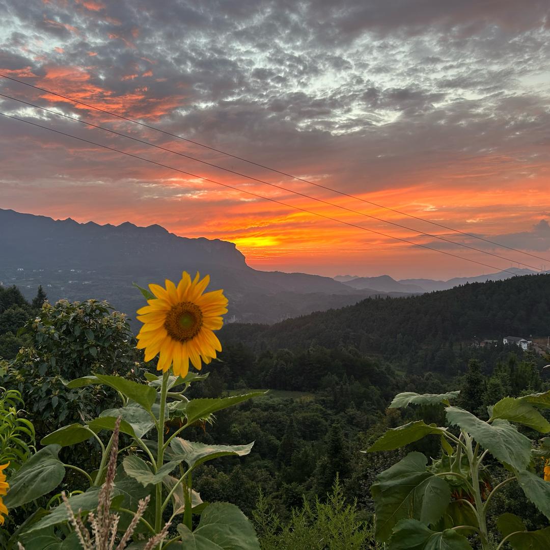 常来小院官方号