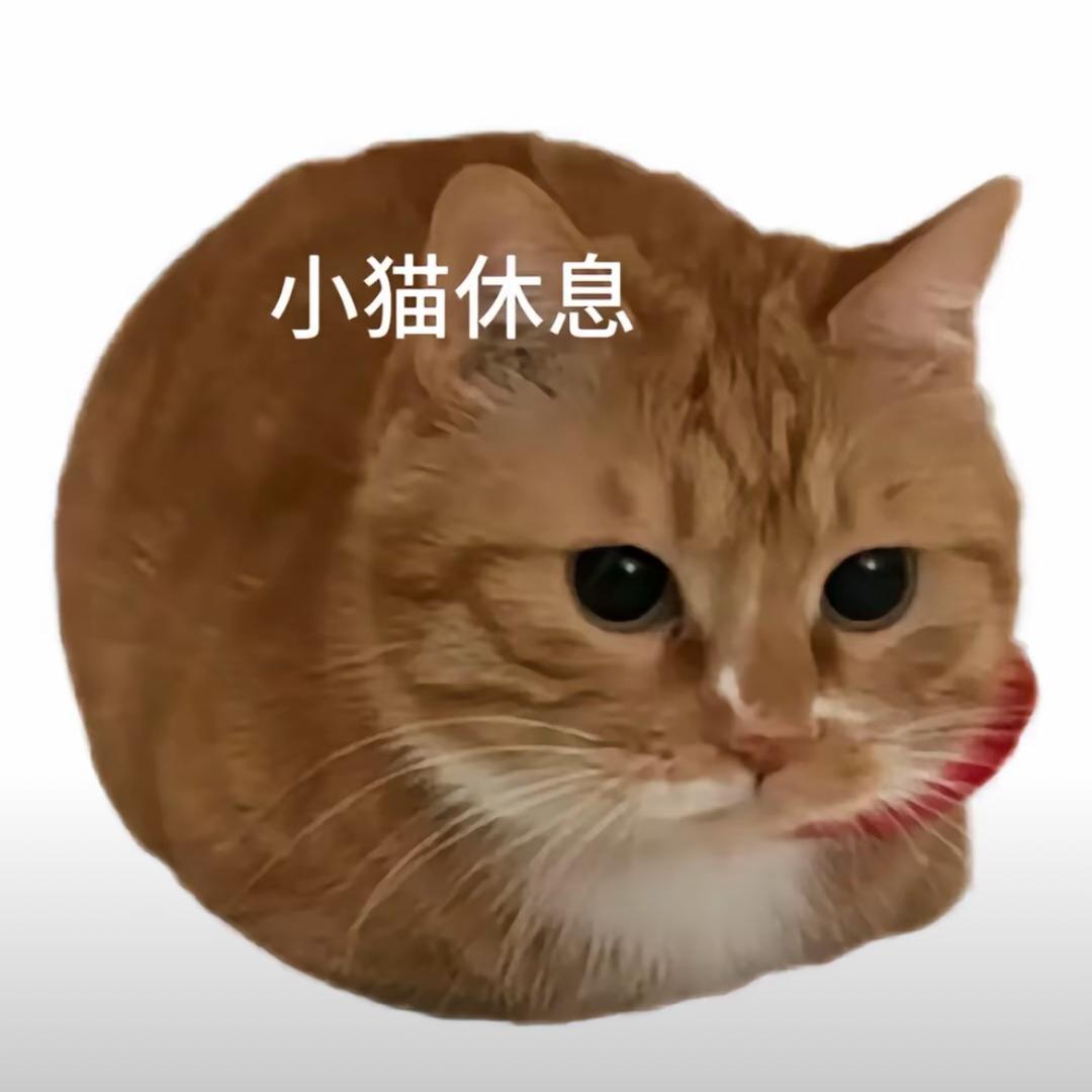 无尽夏