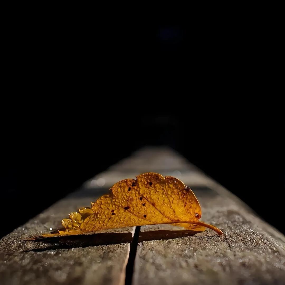 ᴴᵀ ₂₀₁₆.₁₂.₁₆