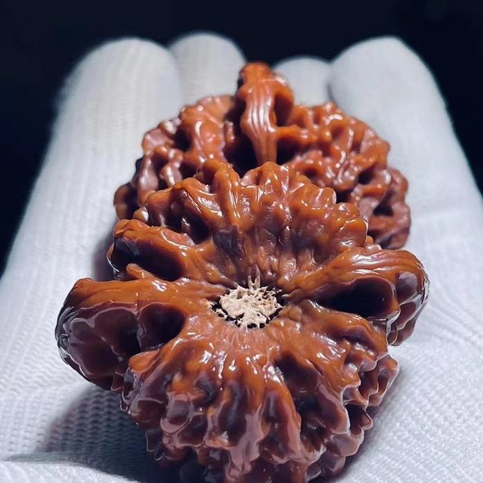 天道—臻品（高端核桃交易会所）