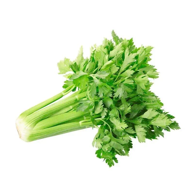 就在日落以后🌇