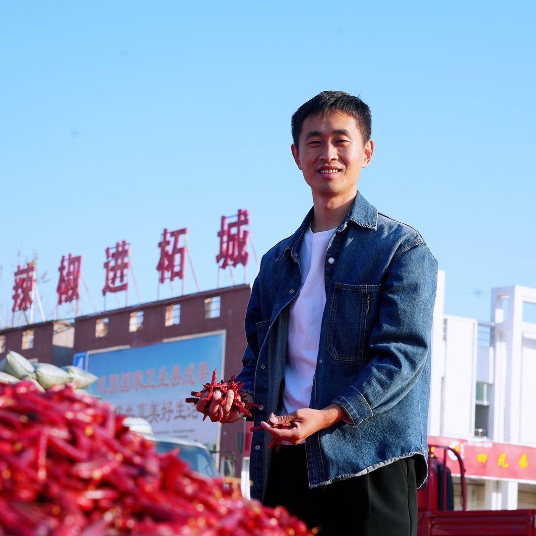 柘城辣椒—市场行情
