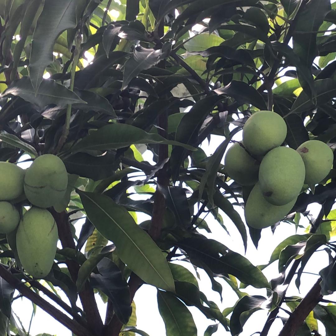 上了年纪的大叔@