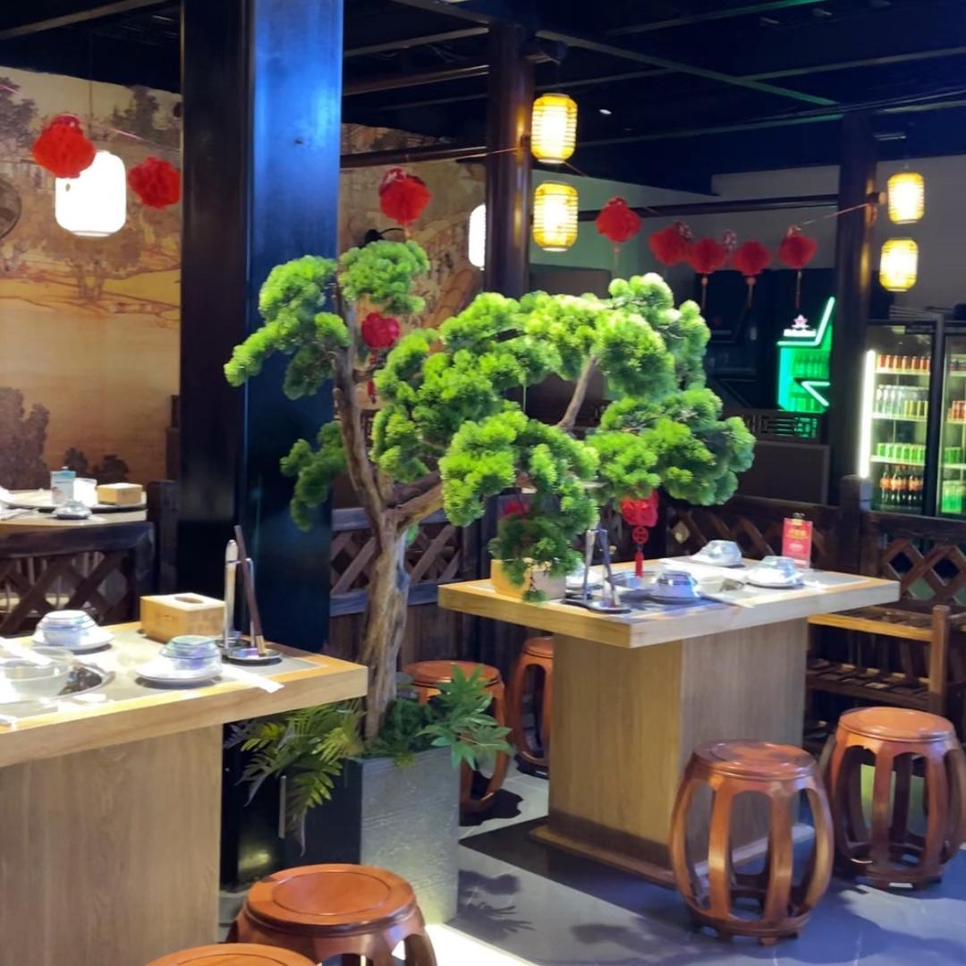 明哥直播号