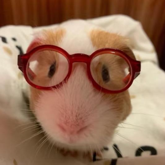 我脑子不好可以让让我吗