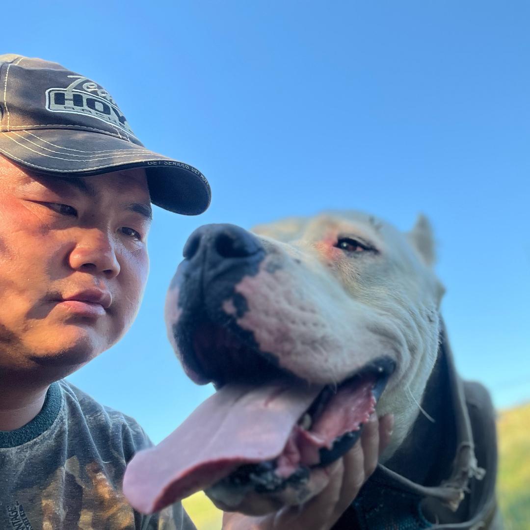 走马部落大狮哥小号