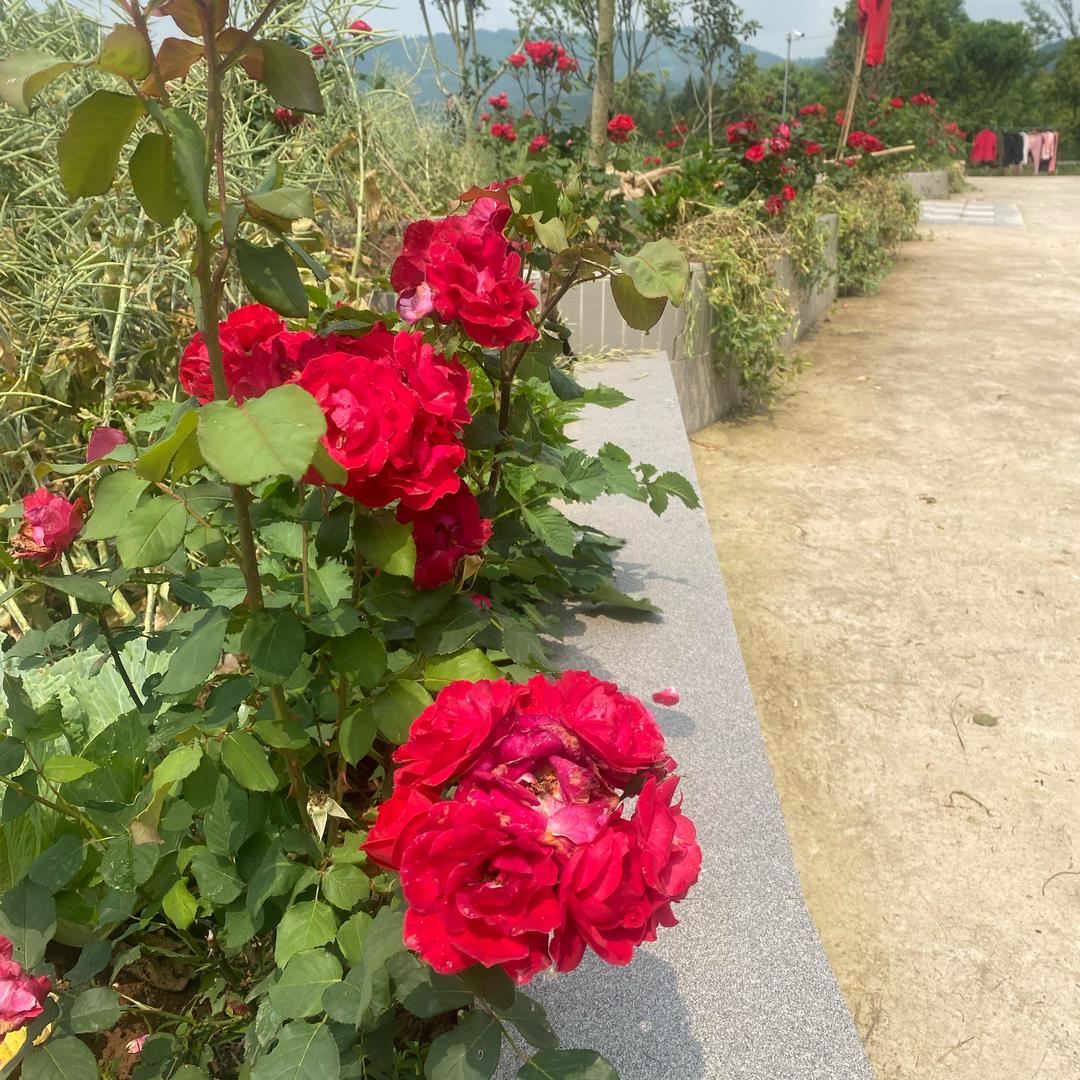 幸福快乐的一家人👌👌👌👌👌👌