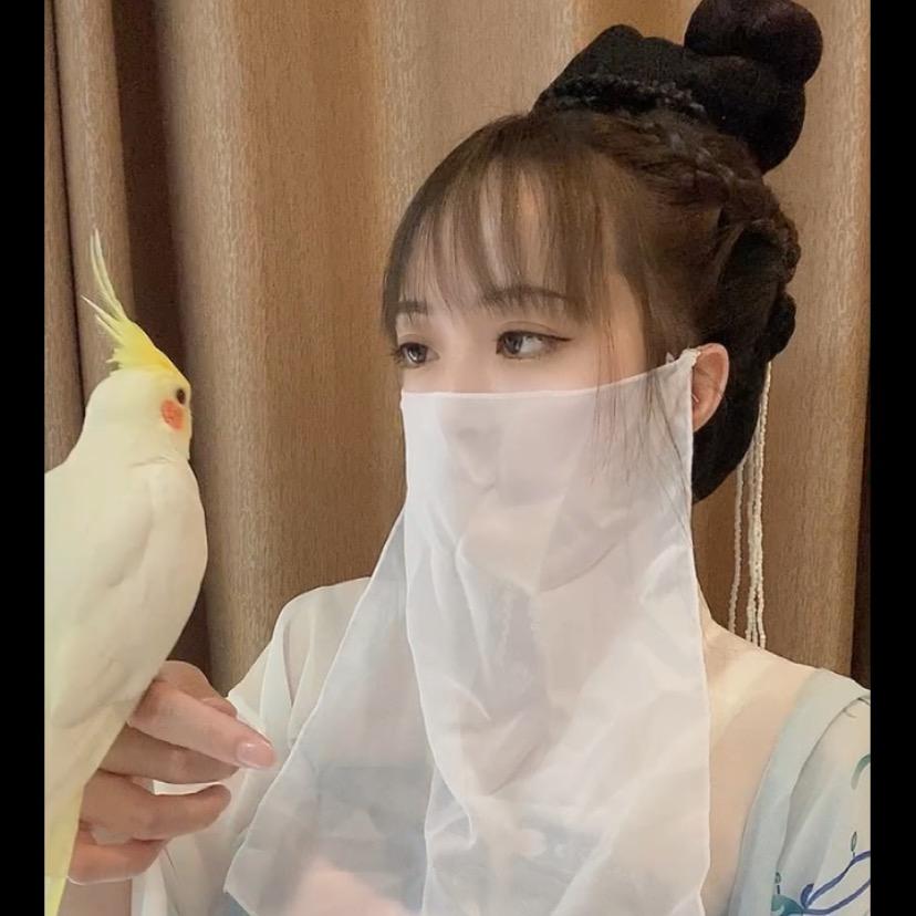 @丫头与九公子