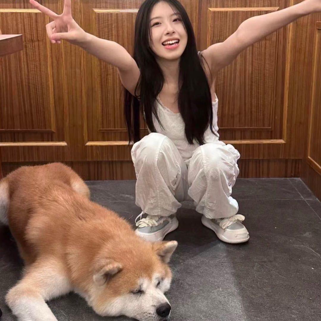 Y         Y