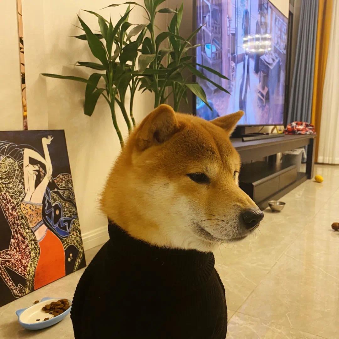 王者荣耀（屿）