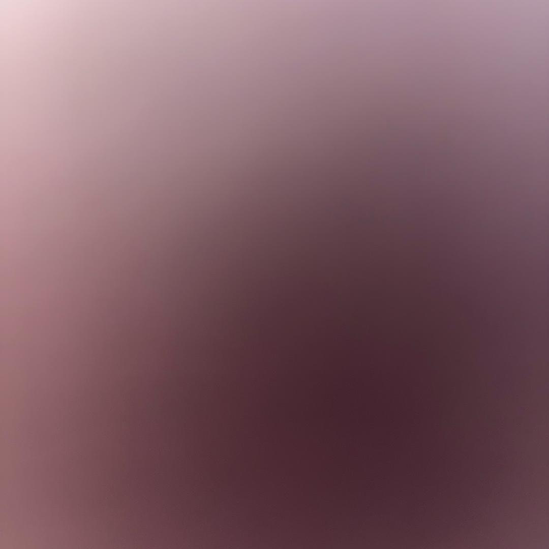 牛牛