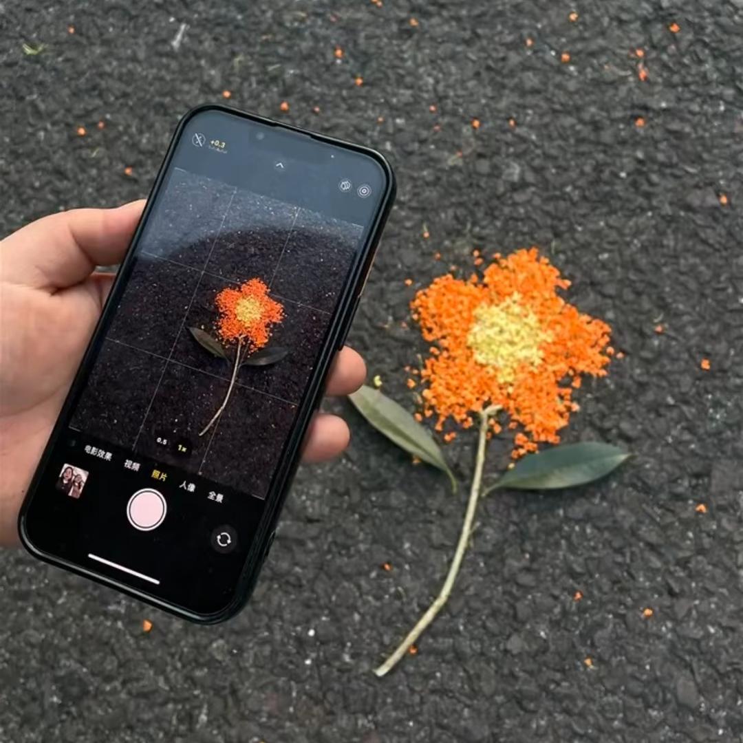 🇨🇳金牛牛吖