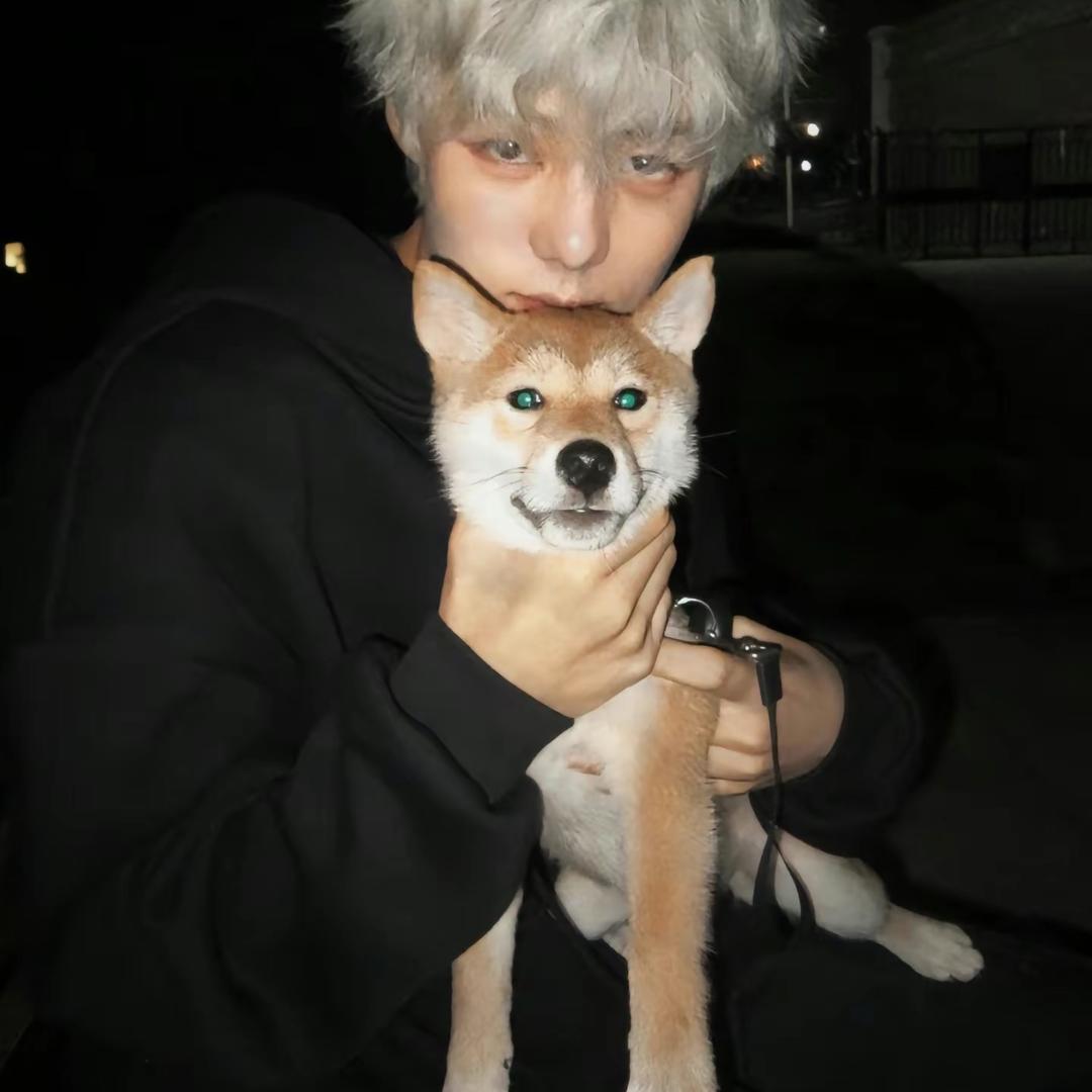 爱车的alex