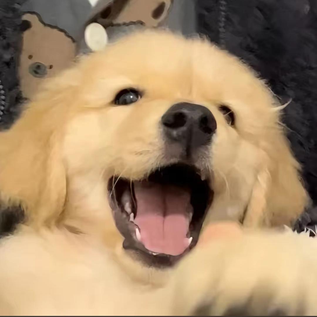 悲彼（超自然行动组）