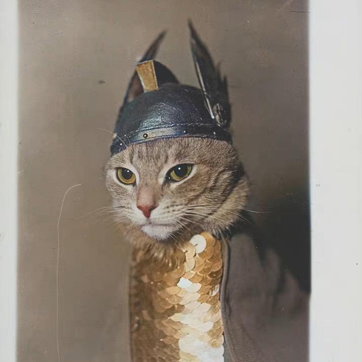 猫眼观九州