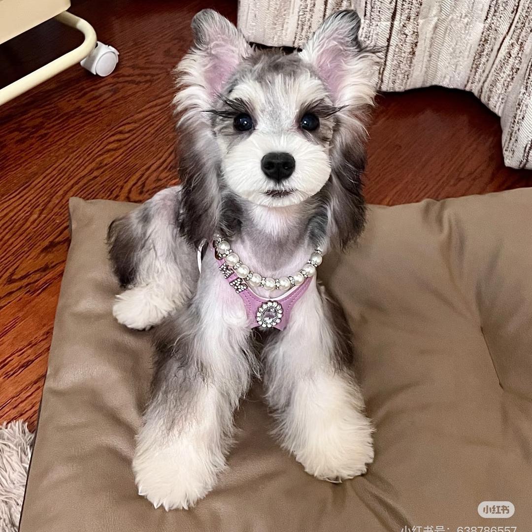 LD轻奢女装集合店