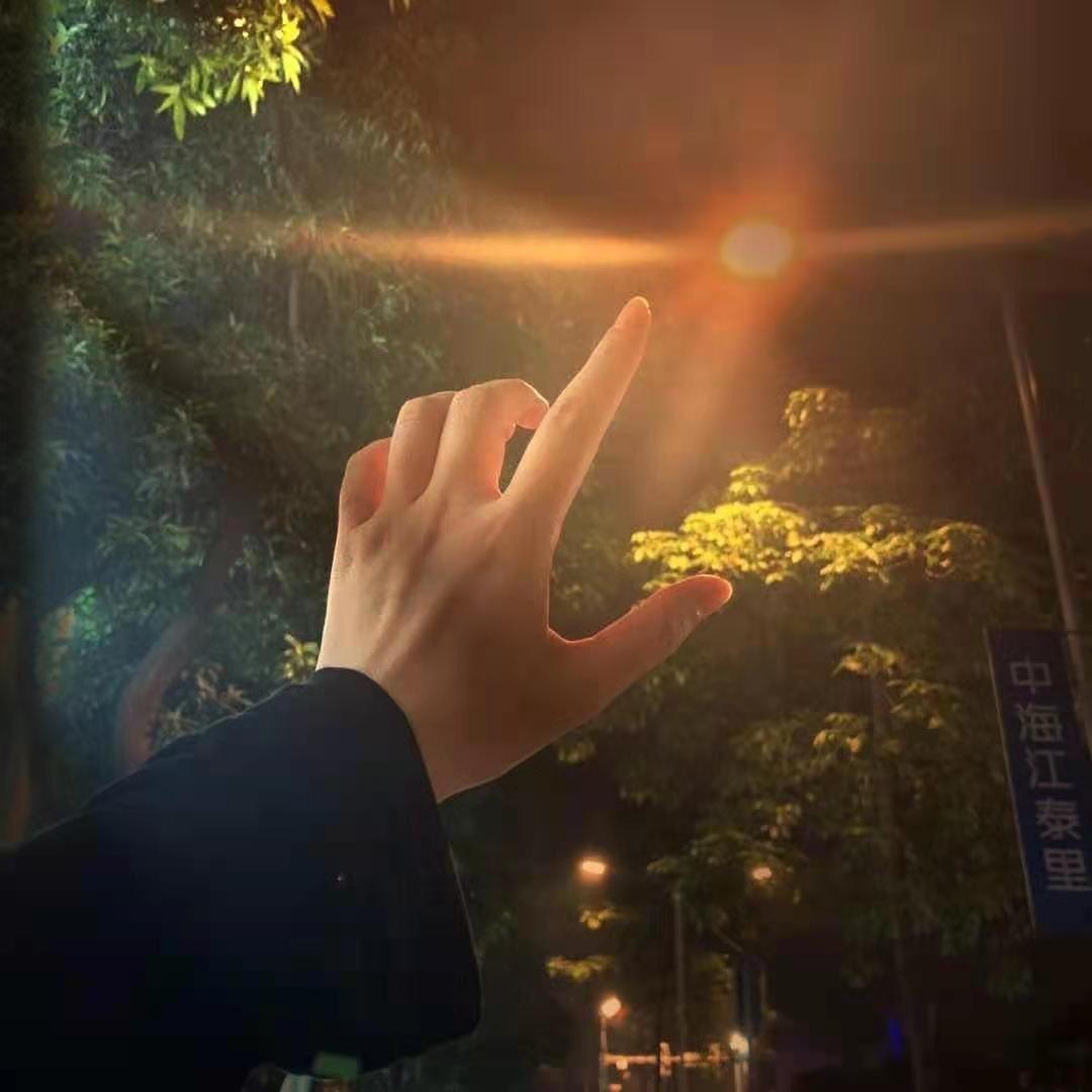 竹临乾坤