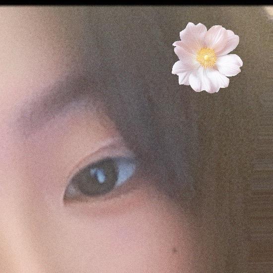 小豆豆