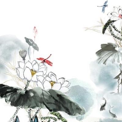 陈老师说