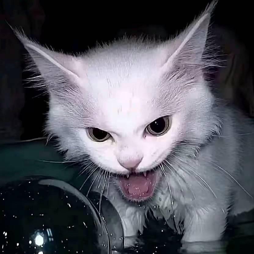 忆玖.