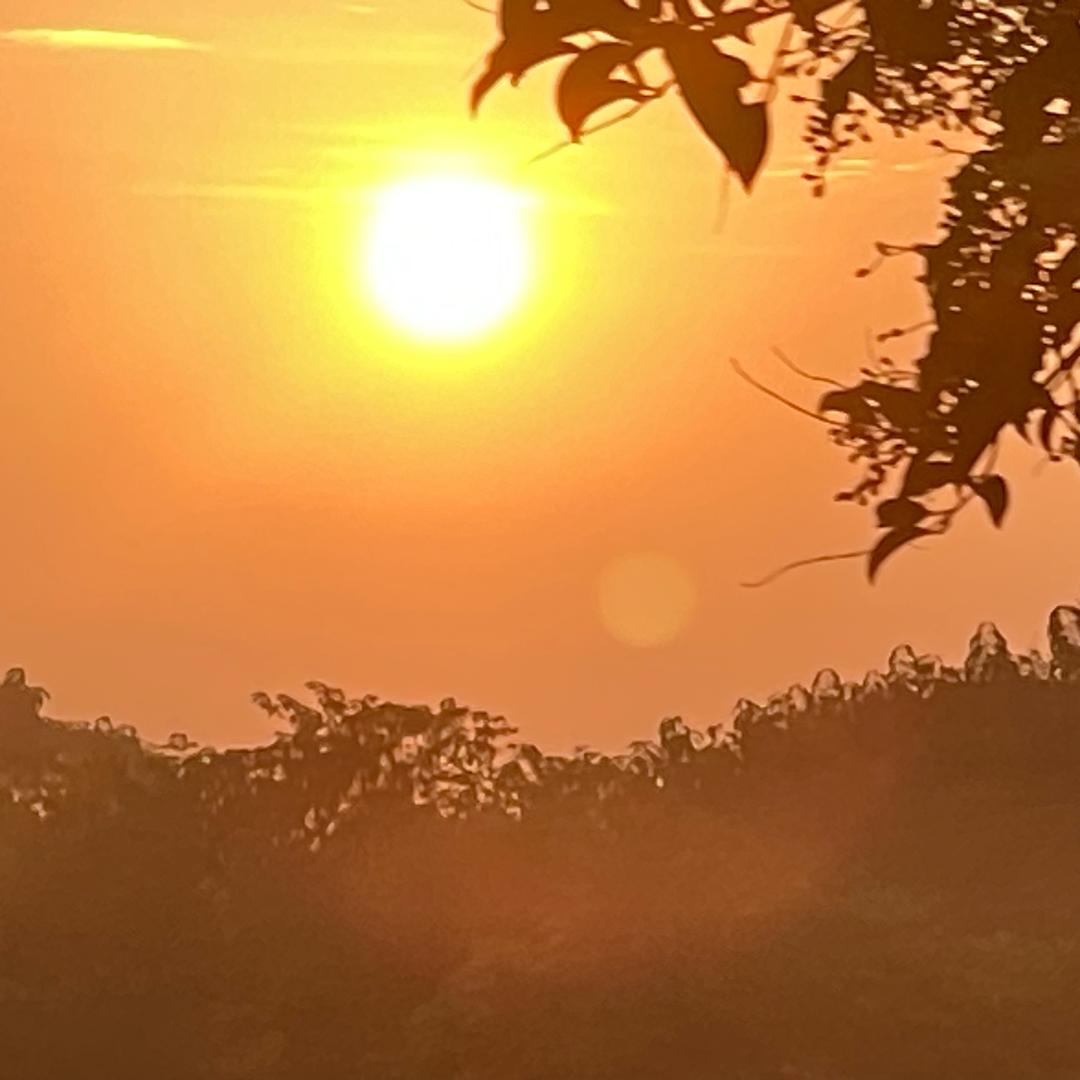 毅昂阳 ﾉ☀