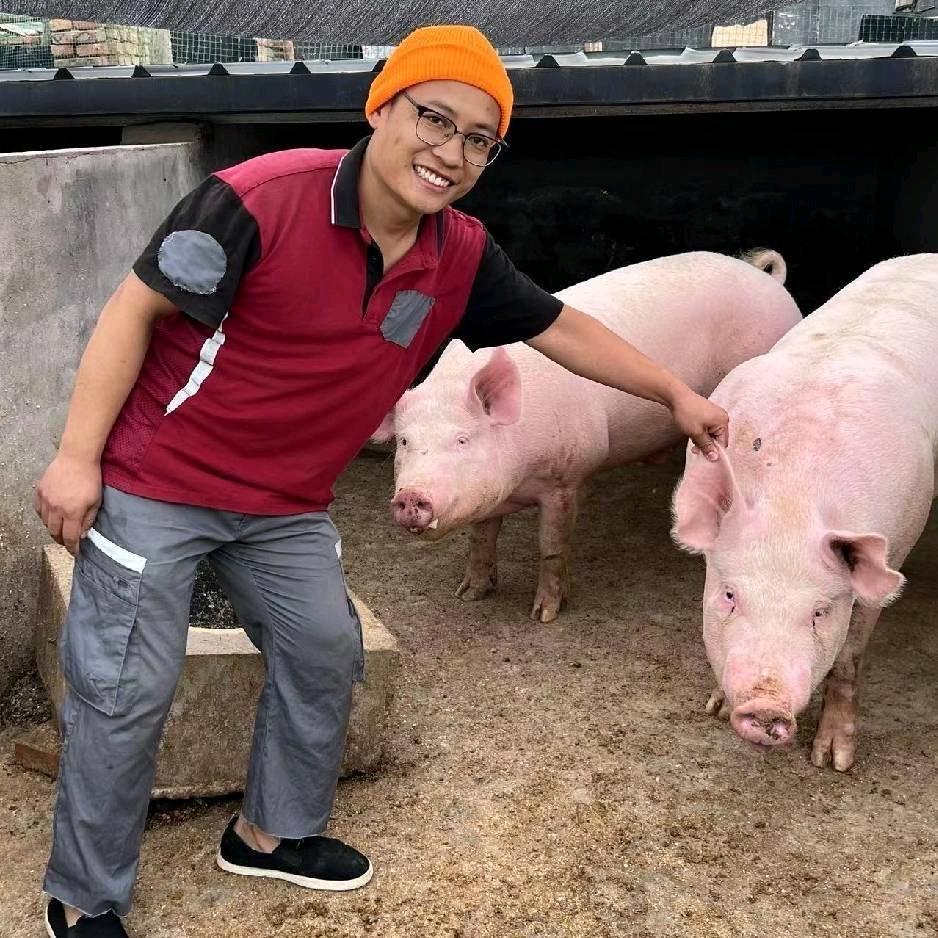五老二