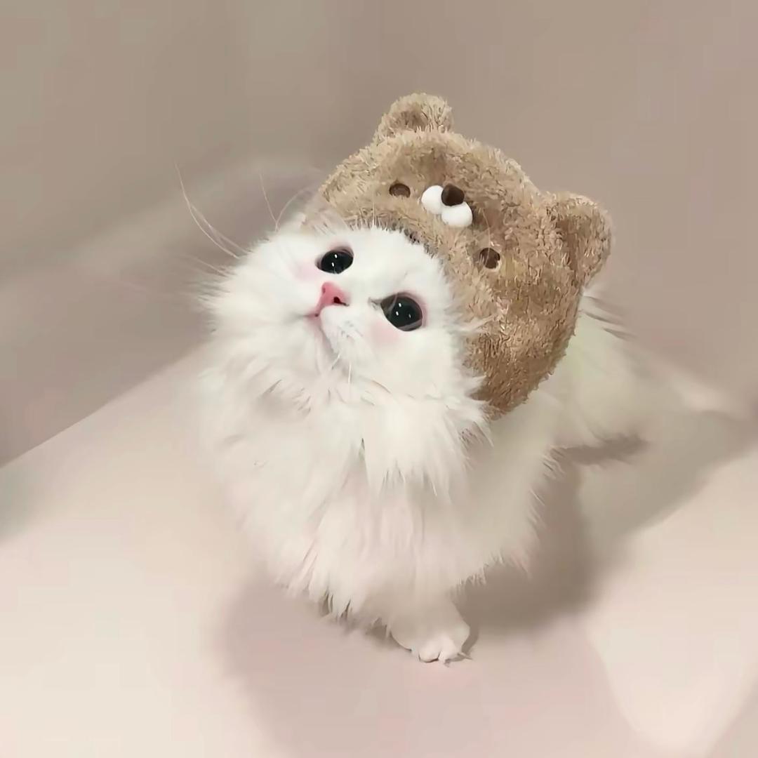 小饿又涵了
