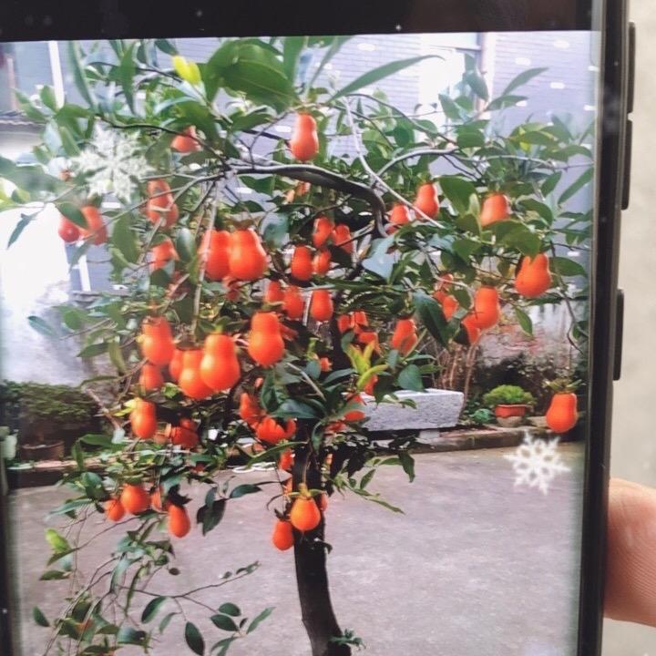 钱塘江668