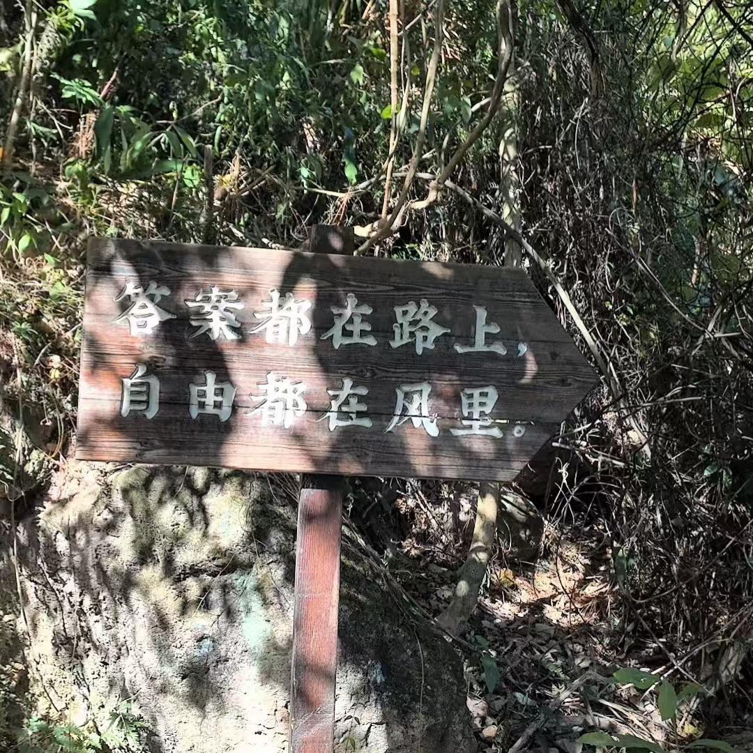 中亭街负一楼c区蒲公英,林嘉琳