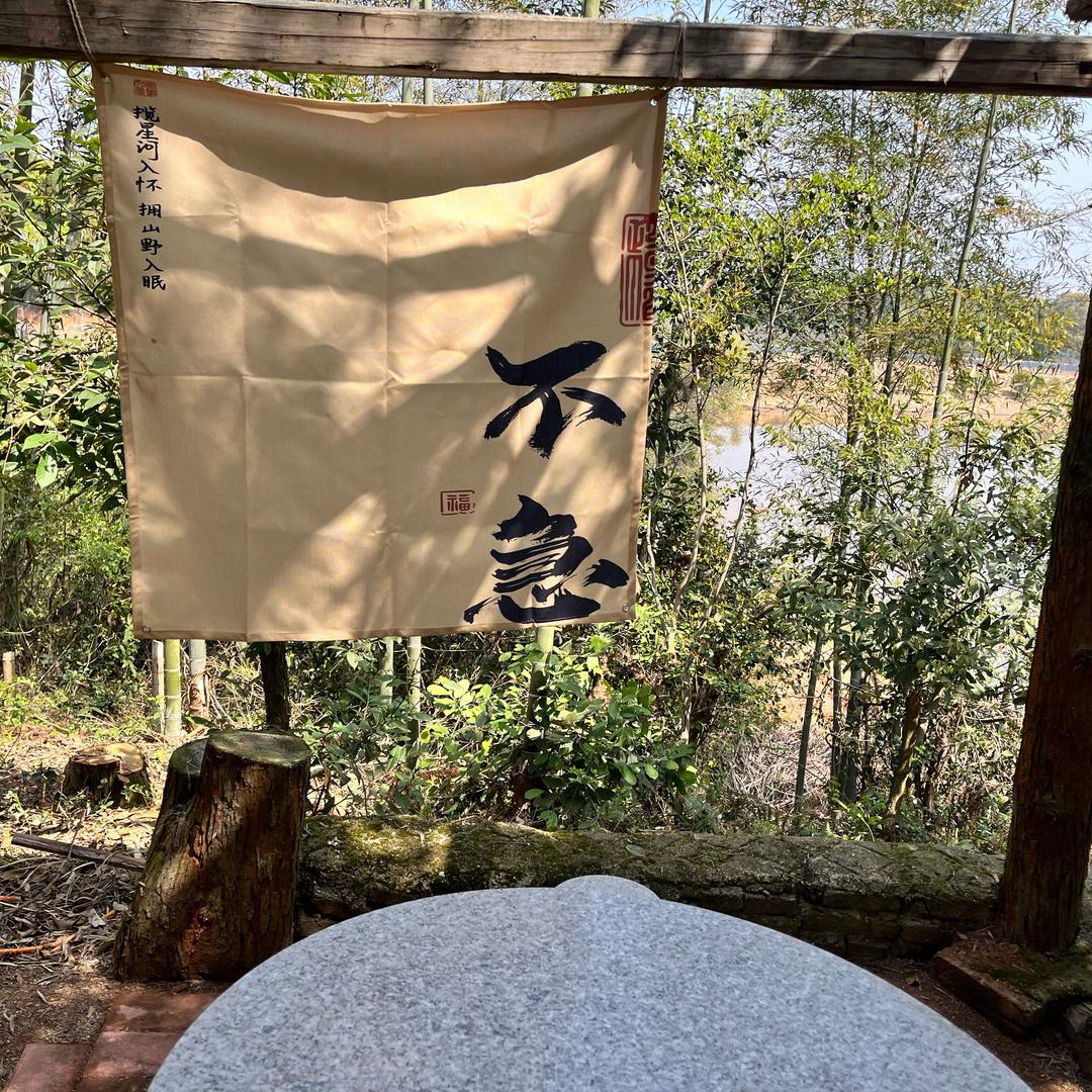 无情道修士