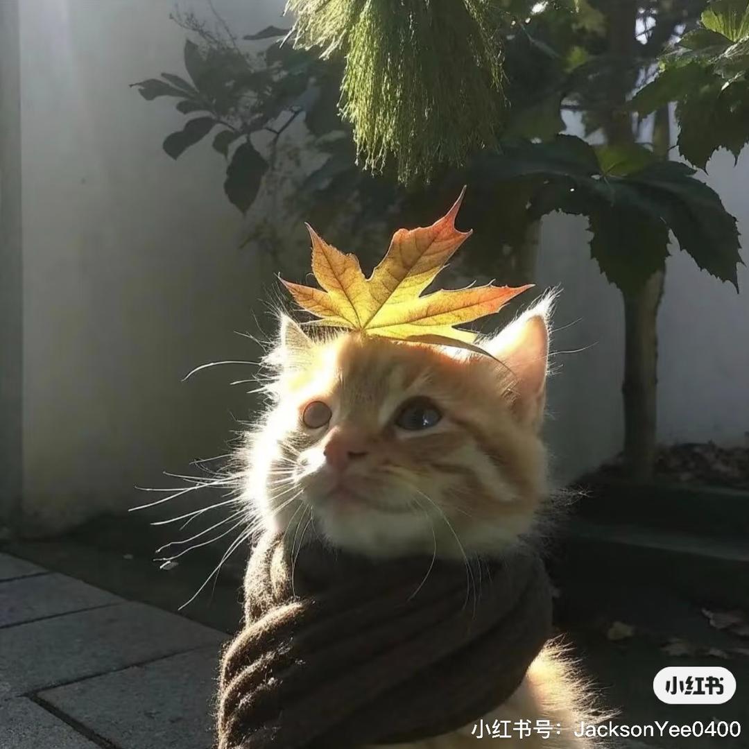 白开水^.