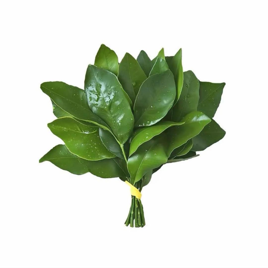 4uu