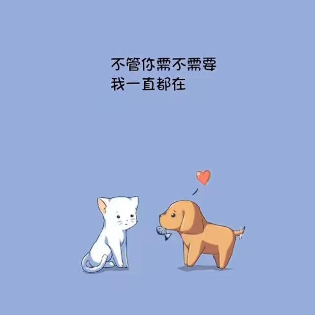 洛阳小超同学做柜子l哇塞的很🔥
