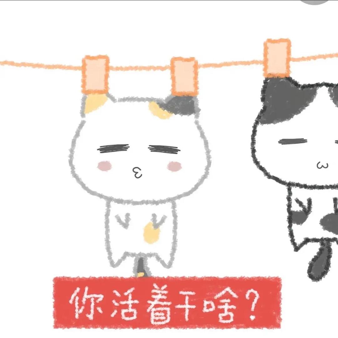 农村入
