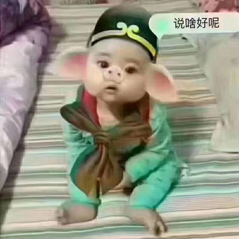 故纵（漳州唱歌喝酒聚餐）