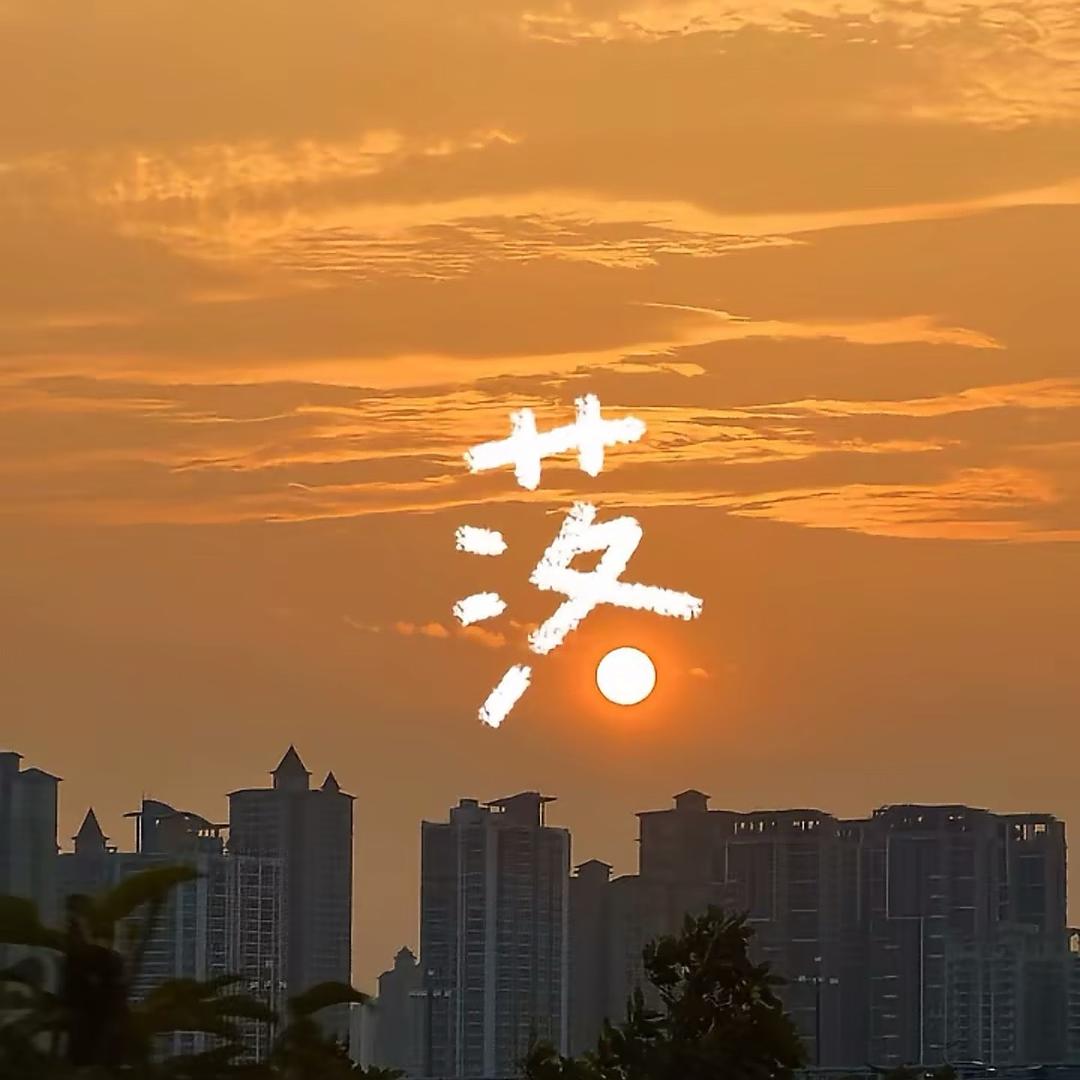 十一.