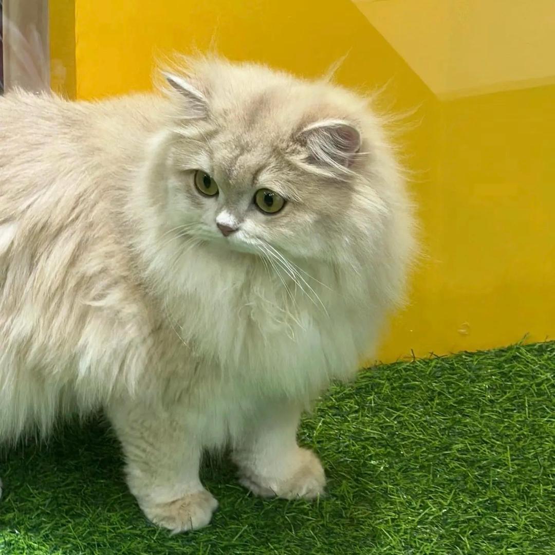 去有风的地方🌪️