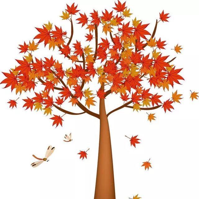 枫叶🍁