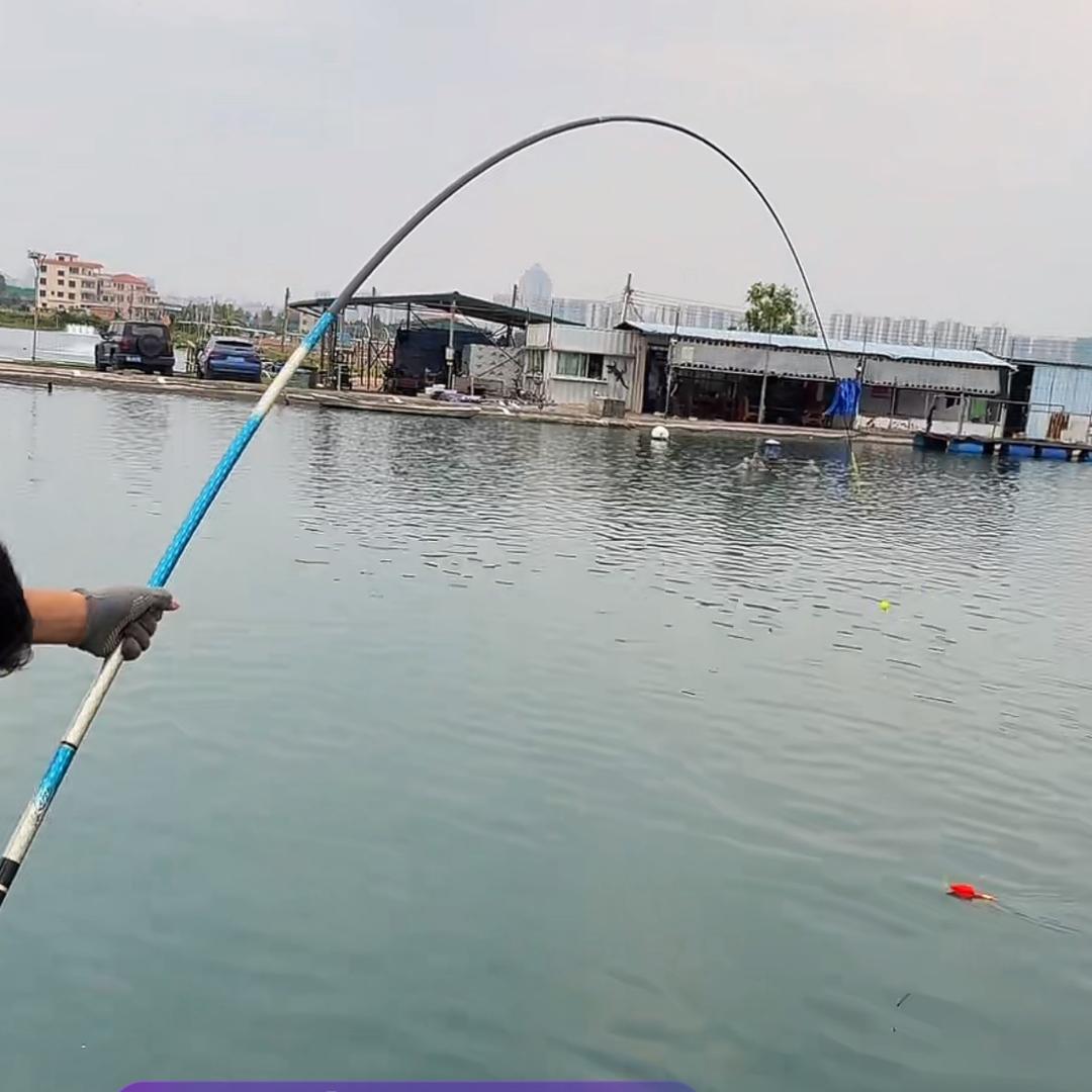 🍇🍒🍓🍋🍏🥒🌽🍆🍅🫐